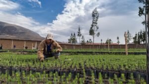 ProInnóvate Noticias: PRODUCE impulsará proyectos hasta con S/ 650 mil para mejorar la sostenibilidad y circularidad en las cadenas productivas