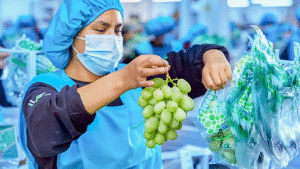 INACAL: Inacal impulsa productividad y sostenibilidad empresarial con estándares de calidad