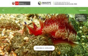 IMARPE: IMARPE presenta las novedades del Catálogo Digital de la Biodiversidad Acuática del Perú