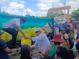 IIAP: IIAP entrega 51 millares de alevinos de paco a productores de Irazola y Neshuya en Ucayali