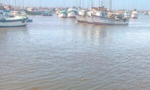 IMARPE: IMARPE registra floración algal no tóxica en la bahía de Paita