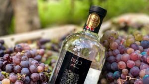 ProInnóvate Noticias: Bodega iqueña reaprovecha residuos generados durante la destilación del pisco y produce alcohol desinfectante