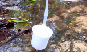 IIAP: El IIAP detecta 44 especies de peces en Loreto a partir de ADN ambiental