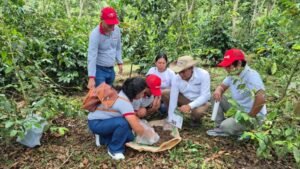 INIA: Junín: INIA transfiere tecnologías agrarias para elevar fertilidad de suelo agrario en La Merced