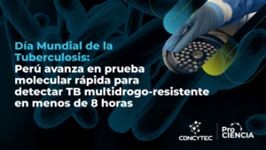 Concytec: Día Mundial de la Tuberculosis: Perú avanza en prueba molecular rápida para detectar TB multidrogo-resistente en menos de 8 horas