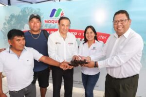 IMARPE: IMARPE fortalece desarrollo de la acuicultura con donación de ejemplares de juveniles de recurso choro a la región Moquegua