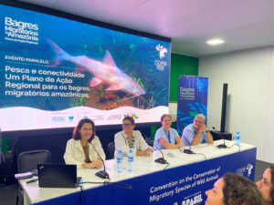 IIAP: El IIAP participa en la aprobación del Plan de Acción Regional para los Bagres Migratorios de la Amazonía en la COP15 CMS