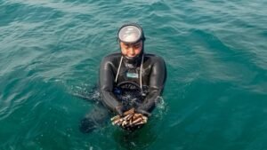 IMARPE: IMARPE evalúa banco natural de concha navaja en el litoral de Huacho