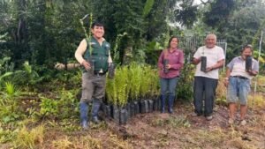 INIA: Madre de Dios: INIA instala parcela demostrativa para producir camu camu de alta calidad para Tambopata