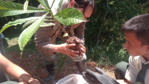 IIAP: Por el Día de la Tierra, 17 escolares de Nieva, en Amazonas, adoptaron y sembraron árboles nativos con apoyo del IIAP