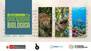 [Concytec] Día de la Diversidad Biológica: CONCYTEC promueve la protección de la naturaleza con potencial científico