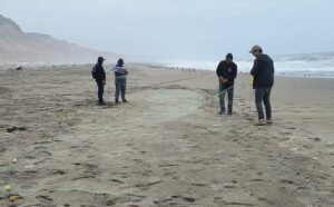 [IMARPE] IMARPE realiza estudio de las artes de pesca de orilla en el sur de Cañete