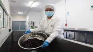 ITP: PRODUCE llevará innovación, tecnología y oportunidades a las regiones del país durante la Semana de la MYPE 2026