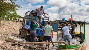 IIAP: IIAP entrega 12 000 alevines de paco a comunidad nativa de Madre de Dios como alternativa a la minería informal
