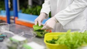 [INACAL] Inacal cuenta con 14 documentos técnicos para la seguridad alimentaria en el Perú