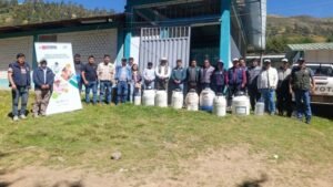 [INIA] MIDAGRI: Transfieren más de 2 mil pajillas de semen de vacuno para mejorar calidad ganadera de Apurímac