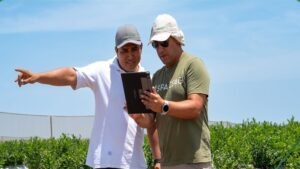 [ProInnóvate Noticias] Con drones, satélites e inteligencia artificial: las innovaciones peruanas que están transformando la agricultura con el impulso de PRODUCE