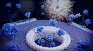 [UPCH] Taller difundirá resultados de investigación sobre muerte celular por piroptosis en neurocisticercosis
