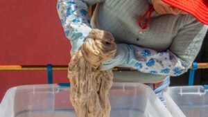 [ITP] CITEtextil Camélidos Puno promueve buenas prácticas en lavado y suavizado de fibra y prendas de alpaca con el uso de insumos biodegradables