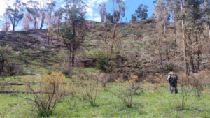 [INGEMMET] Ingemmet identifica zona crítica por deslizamientos en Misapampa y Paula, en Áncash