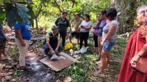 [INIA] Junín: INIA transfiere tecnologías para elevar la fertilidad del suelo en cultivos de cacao orgánico de Pichanaqui