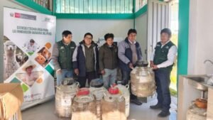 [INIA] Apurímac: INIA transfiere semen bovino de alta calidad genética para fortalecer la ganadería en distrito de Haquira