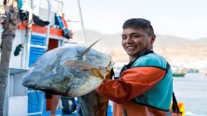 [ITP] Pesca del perico se inicia excepcionalmente el 1 de septiembre para monitorear la respuesta del recurso a las condiciones El Niño