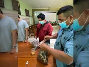 [IIAP] Familias de San Martín aprenden a cultivar hongos comestibles para diversificar su producción