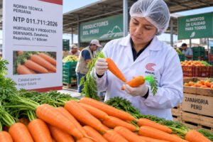 [INACAL] Inacal aprueba nueva norma técnica para mejorar la calidad de la zanahoria en el Perú