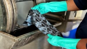 [ITP] CITEccal Trujillo convierte la piel exótica en una nueva oportunidad para crear productos con mayor valor agregado