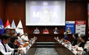 [Ministerio de Salud del Perú] Gobierno avanza en estrategia multisectorial para enfrentar la anemia