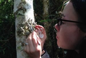 [Prociencia – Noticias] Investigadores desarrollan siete tours para aprender ciencia en el bosque nuboso de Oxapampa